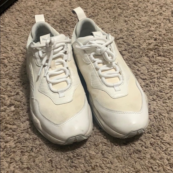 Pumas - Picture 2 of 12